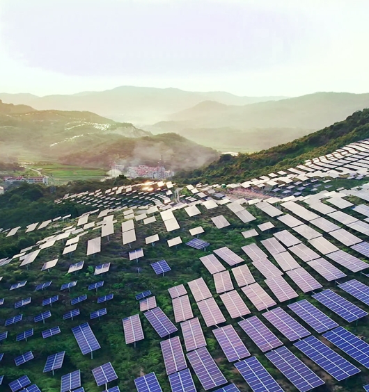 專業、專心、專注